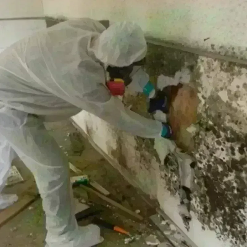 Mold Remediation and Removal in Spotswood, NJ